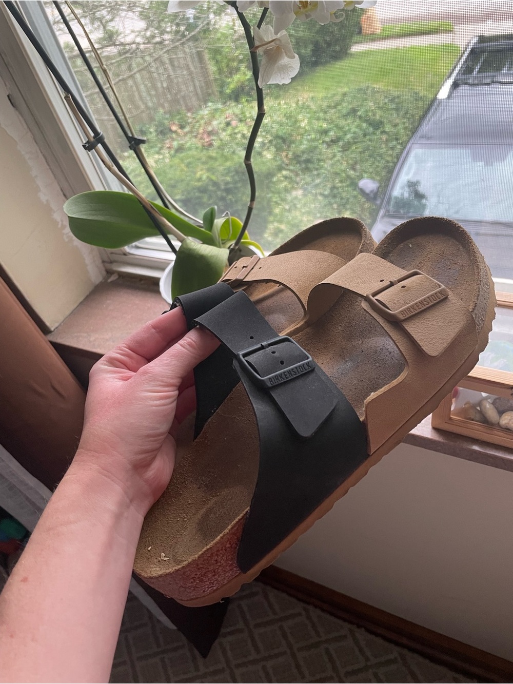 Birkenstock Arizona Two-Color Two-Strap Sandals - Black & Brown